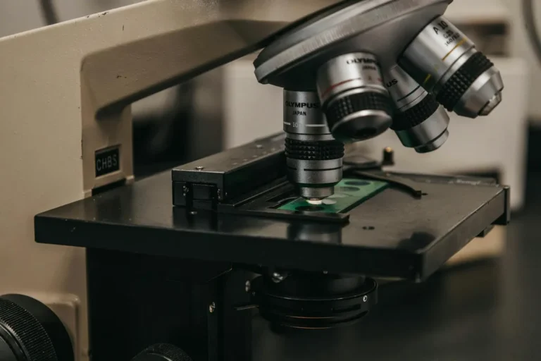 On the Microscope, and the Strange Work of Looking Closely